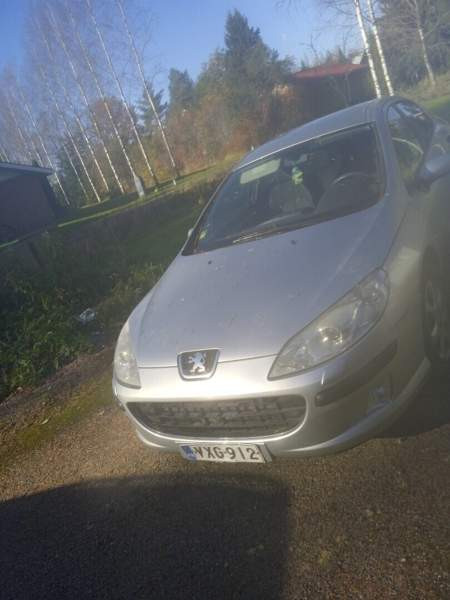Peugeot 407 Lieto - photo 1