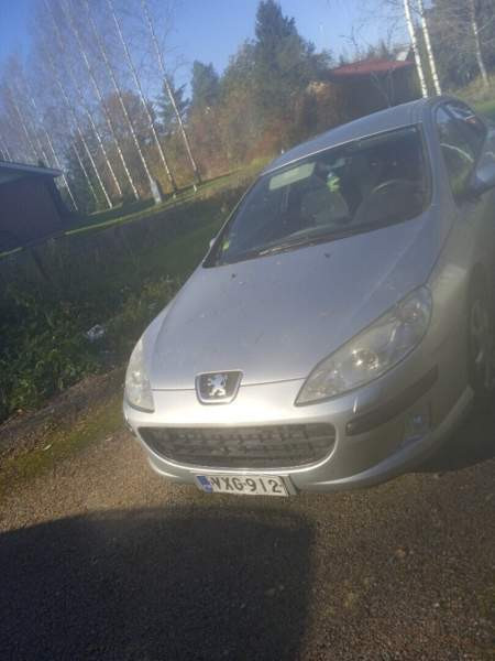 Peugeot 407 Lieto - photo 2