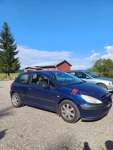 Peugeot 307 Polvijärvi - valokuva 2