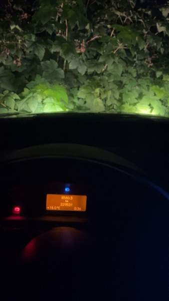 Mercedes-Benz C Joensuu - valokuva 6