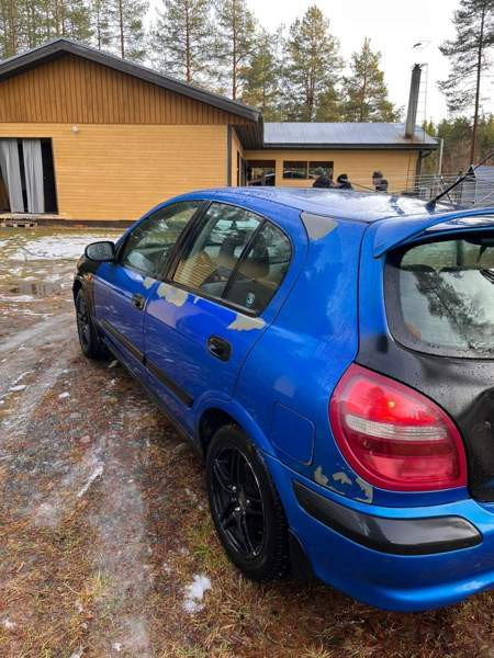 Nissan Almera Kifri - valokuva 6