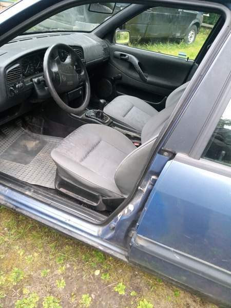 Volkswagen Passat Luga - valokuva 7