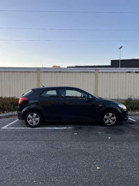 Kia Ceed Turtkul - valokuva 7