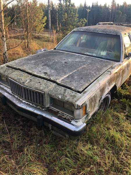 Ford Mercury Rauma – foto 1