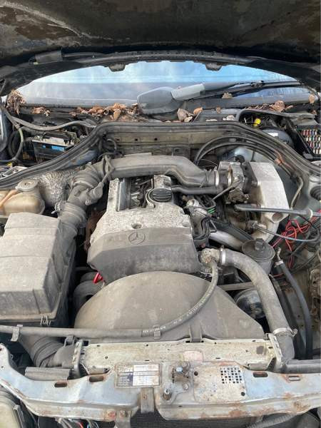 Mercedes-Benz E Nakkila - изображение 5