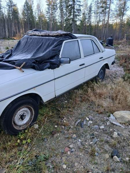 Mercedes-Benz 200 Kifri - valokuva 2