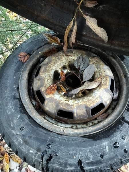 Volkswagen Polo Rovaniemi - photo 6