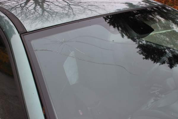 Renault Megane Helsinki - photo 7