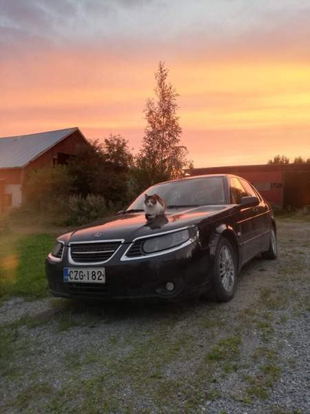 Saab 9-5 Kitee - valokuva 1