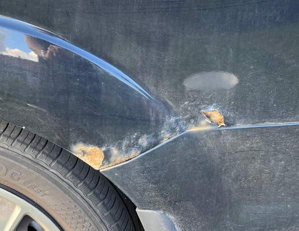 Ford Focus Turtkul - photo 7