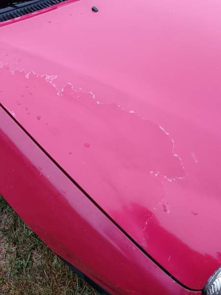 Toyota Corolla Saarijärvi – foto 5