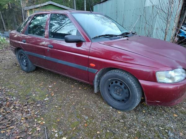 Ford Escort Лодейное Поле - изображение 3