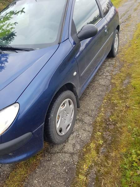 Peugeot 206 Karijoki – foto 3