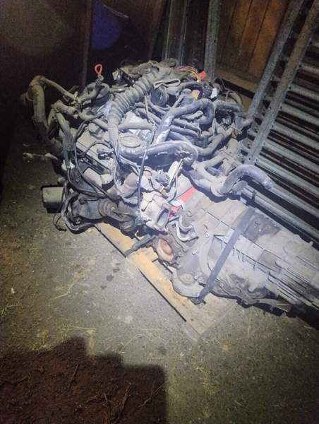 Audi A6 Raasepori – foto 4