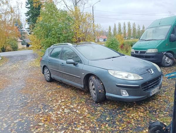 Peugeot 407 Vimpeli - valokuva 2