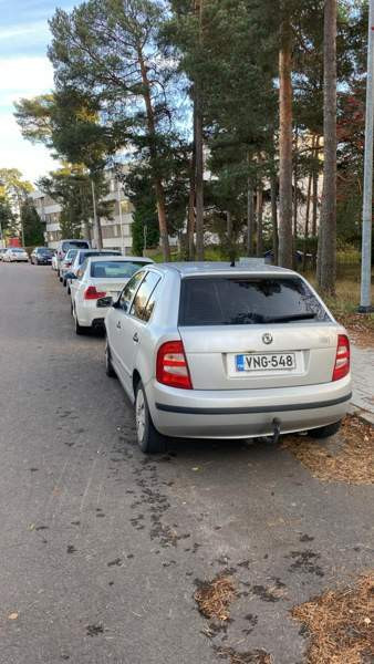 Skoda Fabia Раума - изображение 5