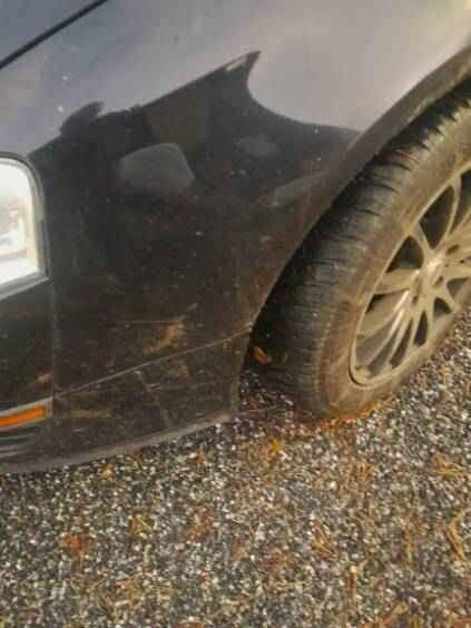 Volkswagen Passat Kaskinen – foto 2