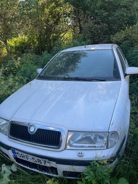 Skoda Octavia Kajaani - photo 1