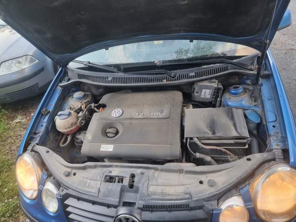 Volkswagen Polo Lieto - valokuva 8