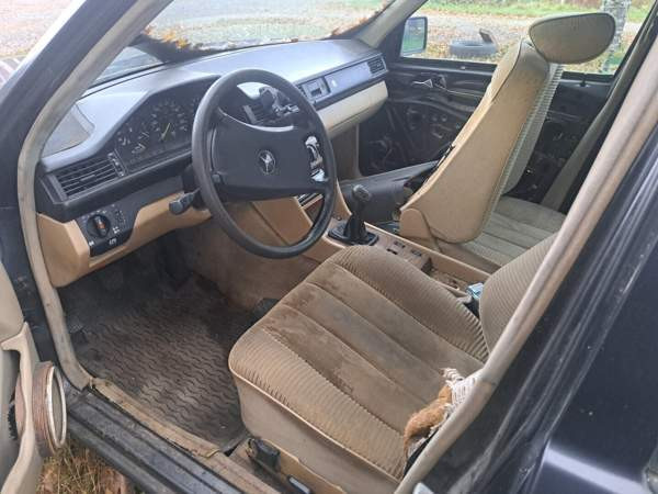 Mercedes-Benz 300 Merikarvia - valokuva 4