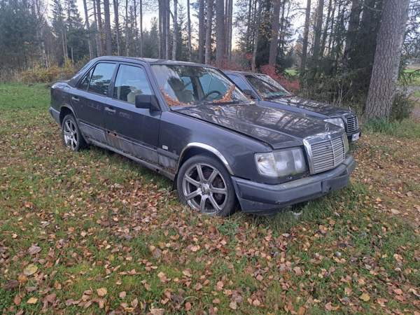 Mercedes-Benz 300 Merikarvia - valokuva 1