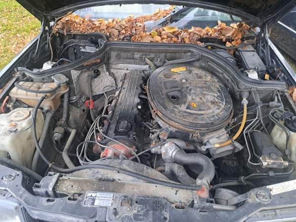 Mercedes-Benz 300 Merikarvia - valokuva 3