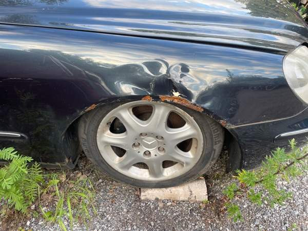 Mercedes-Benz S Turtkul - photo 4