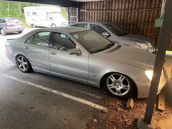 Mercedes-Benz S Turtkul - photo 6