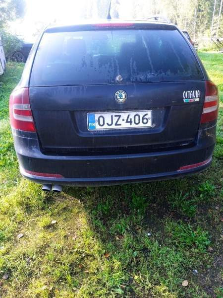 Skoda Octavia Ruovesi - изображение 3