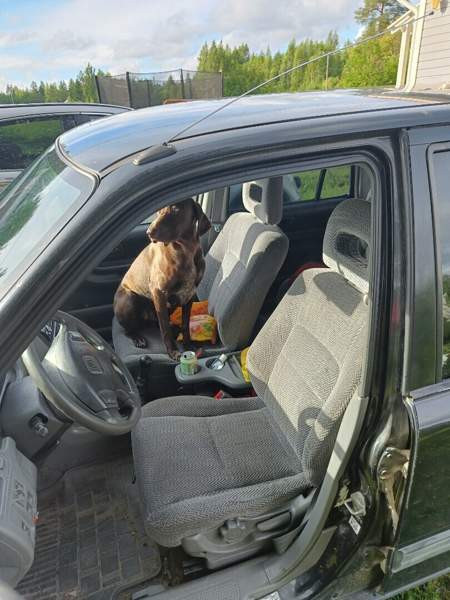 Honda CR-V Tohmajärvi - photo 5