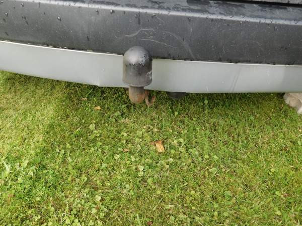 Renault Scenic Саров - изображение 5